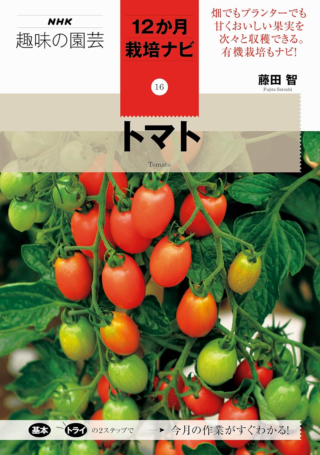 Featured image of post NHK 趣味の園芸 12ヶ月の栽培ナビ トマト 記録 [#BO-0001]