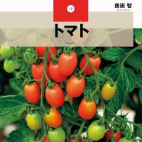 NHK 趣味の園芸 12ヶ月の栽培ナビ トマト 記録 [#BO-0001]