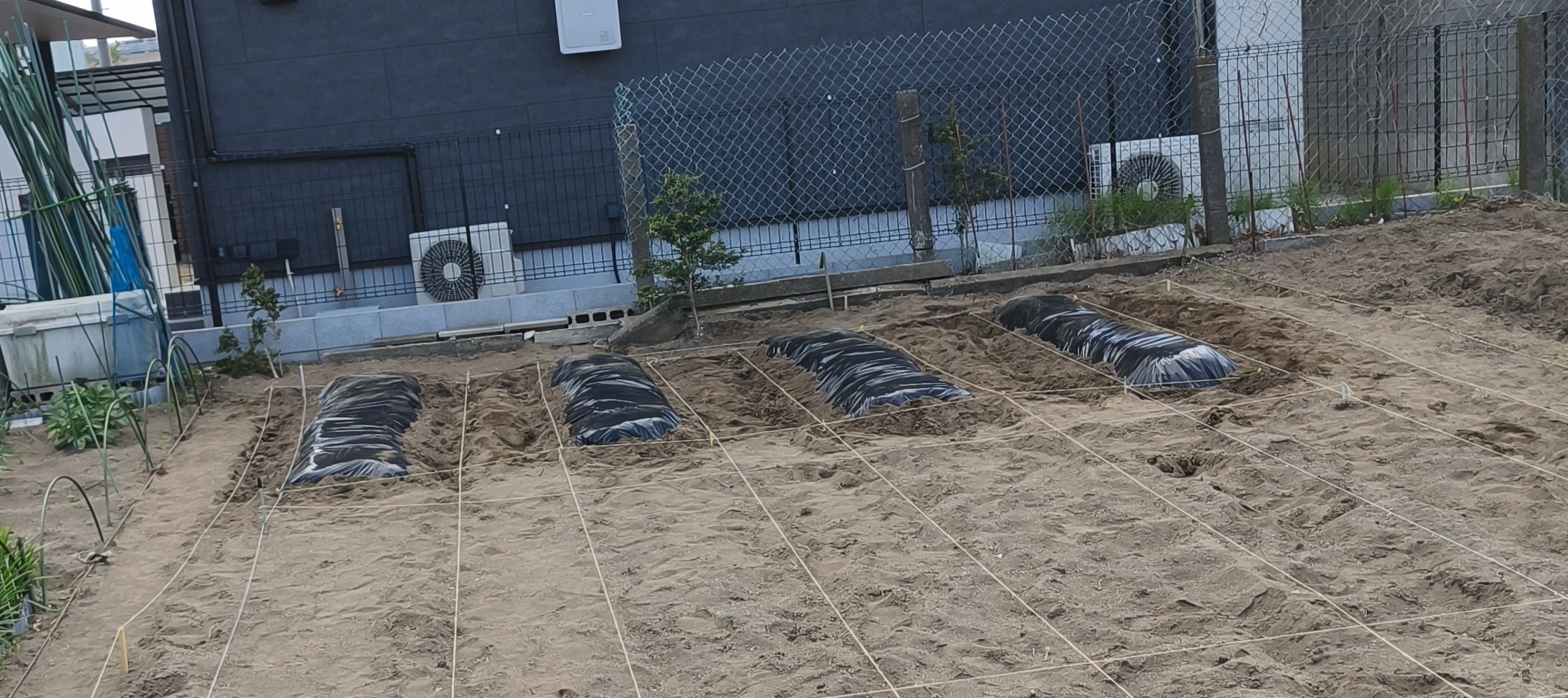Featured image of post ミニトマト露地栽培の施肥設計と畝立て手順【2026年実践】 [#PL-0002-0001]